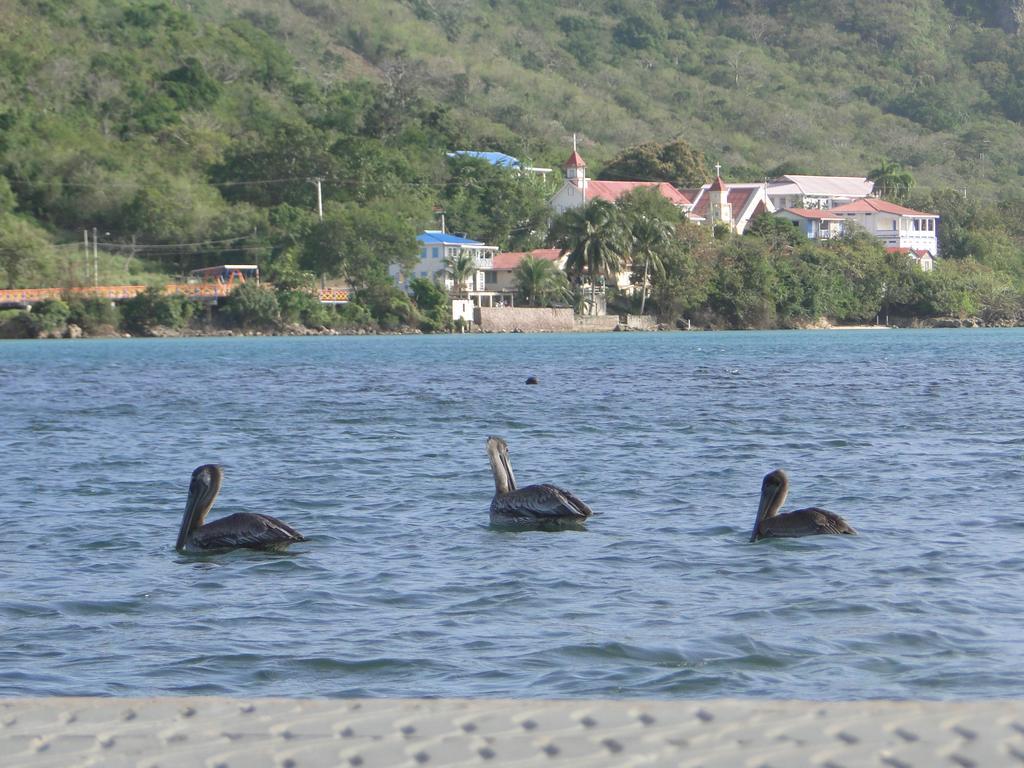 Posada Sunshine Paradise Providencia Island エクステリア 写真