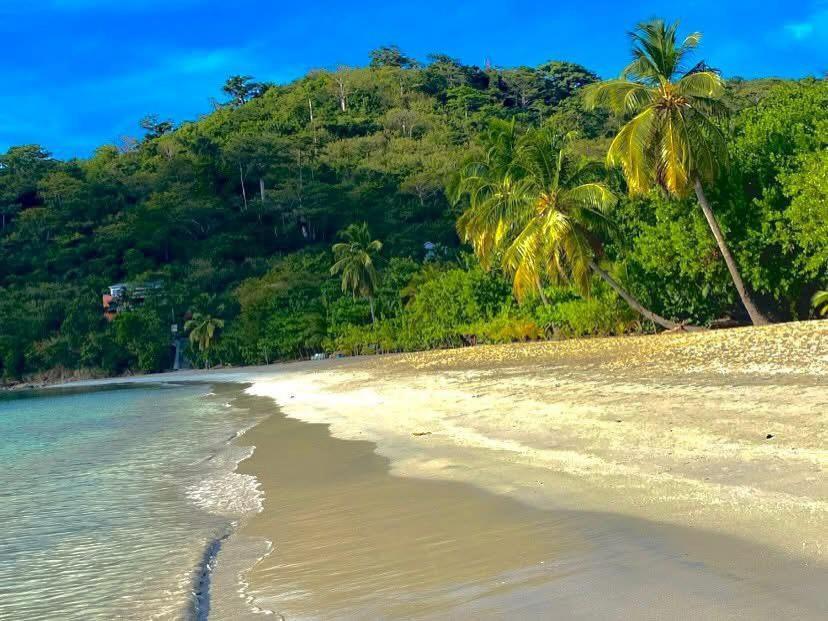 Posada Sunshine Paradise Providencia Island エクステリア 写真