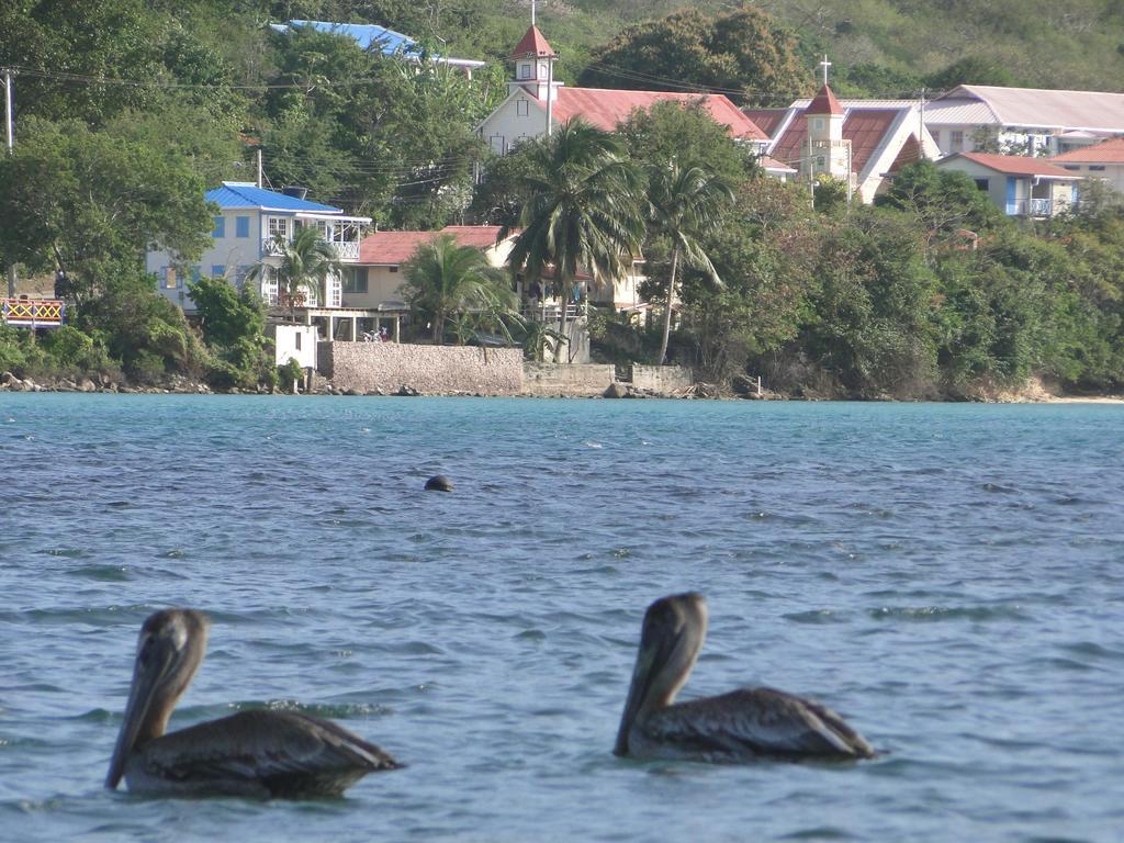 Posada Sunshine Paradise Providencia Island エクステリア 写真