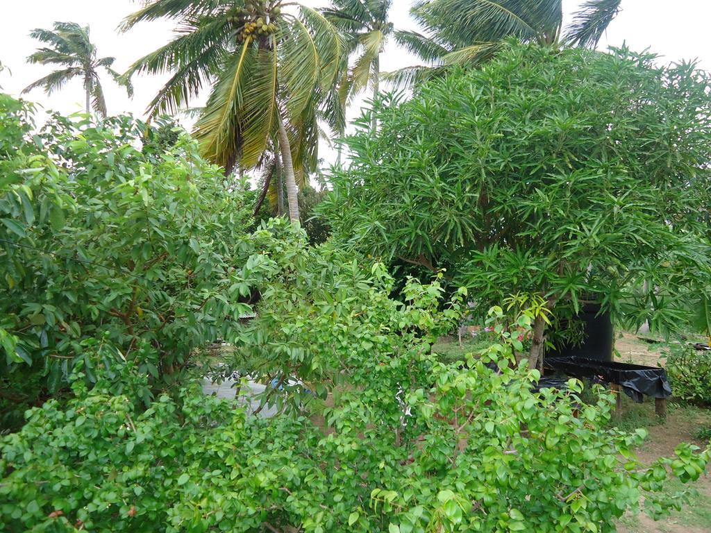 Posada Sunshine Paradise Providencia Island エクステリア 写真